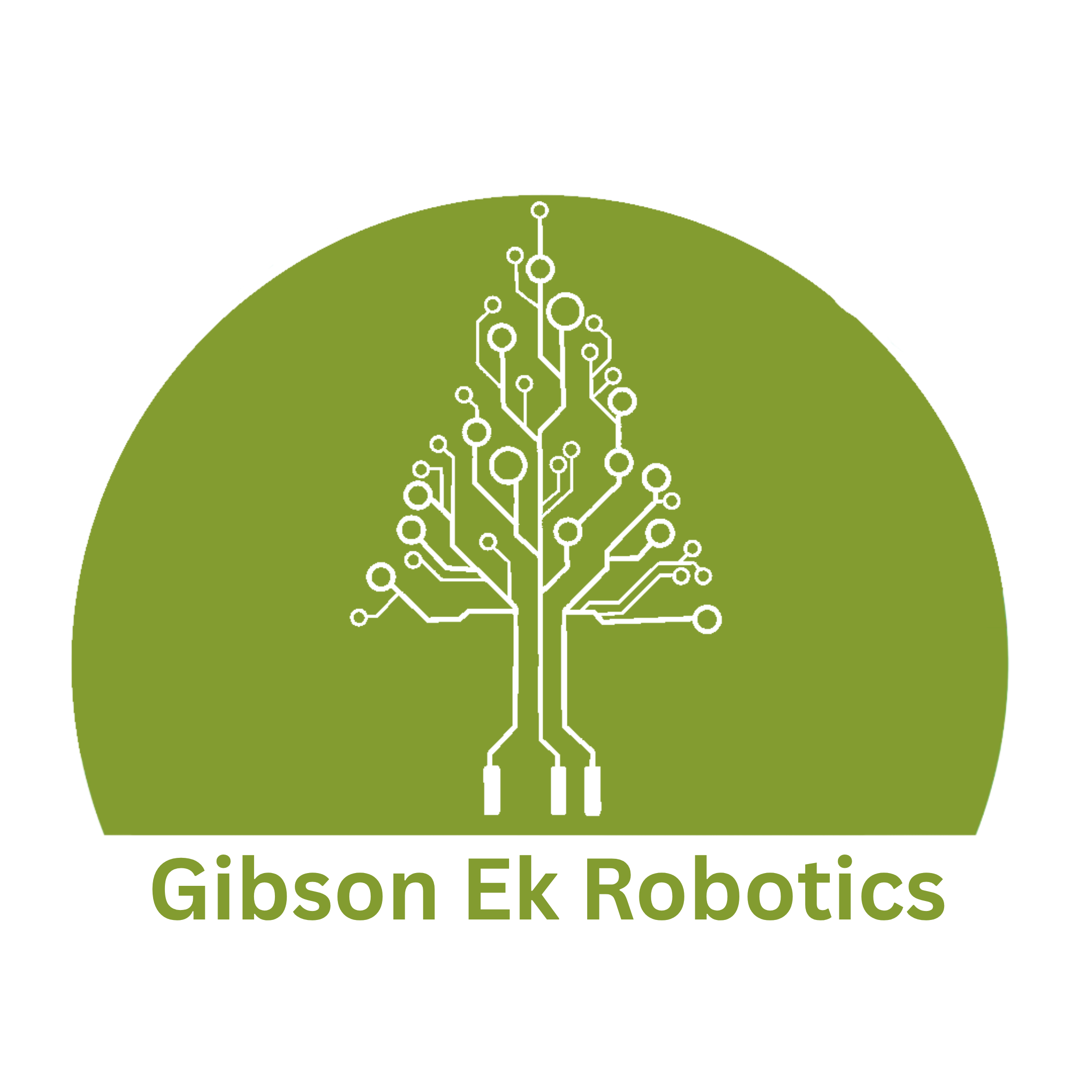 Gibson Ek High School